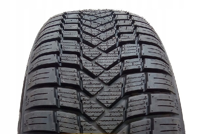 195/55R16 opona BLACK ARROW AS DART 4S XL 91V